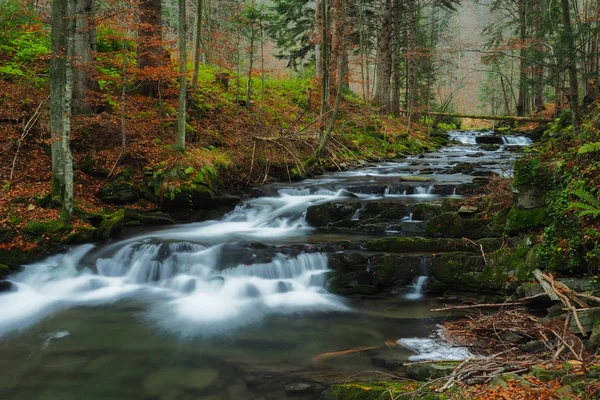 Sonbahar Ilkel Ormanın Içinde Bieszczady Dağlar Rzeka Akış Bieszczady Milli — Stok fotoğraf