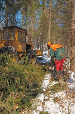 Orman, oduncu'nın eser