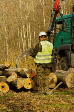 Forester kereste yükleme denetler