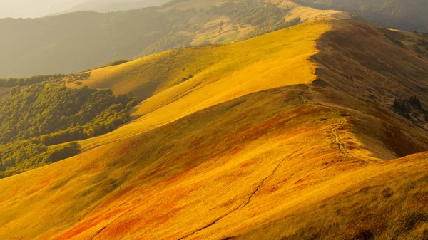 Perfectly Illuminated Mountain Meadow Svydovets Ridge Carpathian Mountains Ukraine — Stock Photo, Image