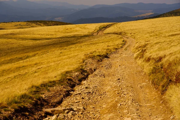 Une Route Montagne Sinueuse Svydovets Crête Les Montagnes Des Carpates — Photo