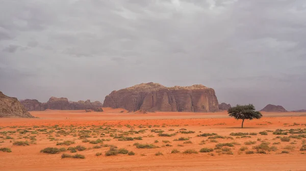 Wadi Rum Йорданії Камені Пісок Дюни Близький Схід — стокове фото