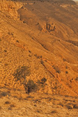 Wadi Dana rezerv tipik peyzaj. Wadi Dana Milli Parkı. Ürdün