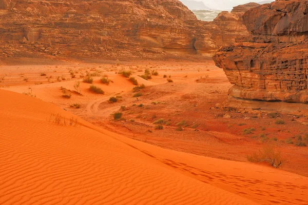 럼입니다 요르단 동의의 장소입니다 사막의 환상적인 — 스톡 사진
