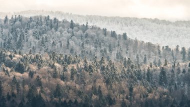 Güzel kış dağ manzarası. Batan güneşin ışınları ormanda. Bieszczady Dağlar. Polonya