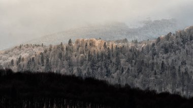 Güzel kış dağ manzarası. Batan güneşin ışınları ormanda. Bieszczady Dağlar. Polonya