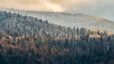 Güzel kış dağ manzarası. Batan güneşin ışınları ormanda. Bieszczady Dağlar. Polonya