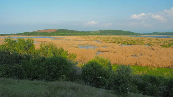 Lake Srebarna Bulgaristan Balkanlar Manzara — Stok fotoğraf