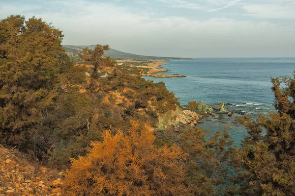 Akamas Peninsula Cypr Typowy Krajobraz — Zdjęcie stockowe