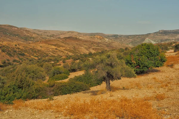 Півострів Акамас Кіпр Типовий Ландшафт — стокове фото