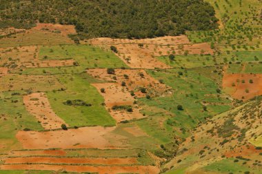 Küçük tarım arazileri dağlarda. Riff Dağları, Fas tipik peyzaj
