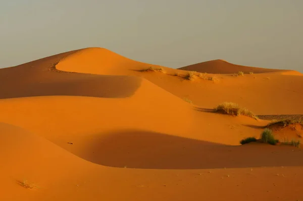 Дюны Пустыне Эрг Чебби Морено — стоковое фото