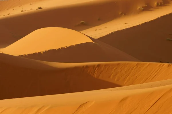 Sivatagi Dűnék Erg Chebbi Marokkó — Stock Fotó