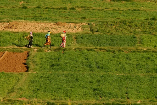 Les Femmes Africaines Tenues Colorées Traversent Champ Atlas Mountains Maroc — Photo