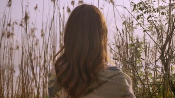 Young ginger smiling girl in a dress standing in woods in nature, looking away, looking at camera 50 fps — Stock Video