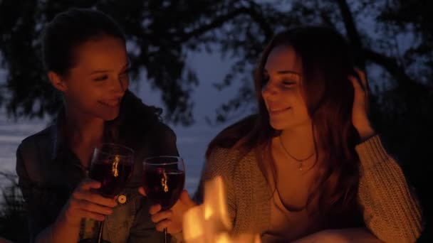 Twee jonge Kaukasische meisjes zitten 's avonds bij het haardvuur in de natuur, drink wijn, glimlachend — Stockvideo