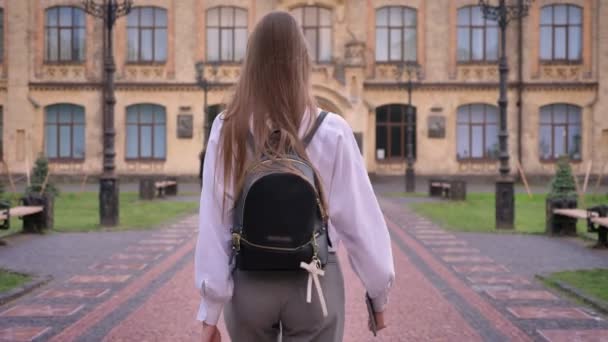 Силует студентки молодої дівчини збирається в університет влітку, вивчаючи концепцію, вид ззаду — стокове відео