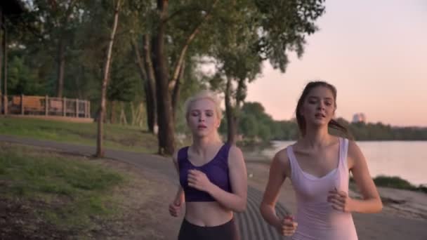 Dwie młode piękne kobiece biegaczy z ponytails jogging w parku, w pobliżu rzeki podczas zachodu słońca, utrata masy ciała — Wideo stockowe