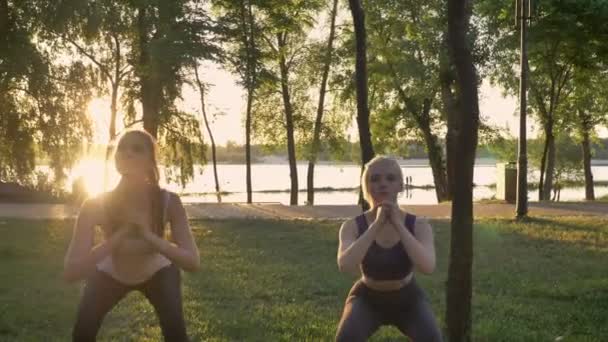 两个年轻漂亮的女人蹲在公园, 减肥, 健身模型运动, 镜头耀斑和美丽的景色 — 图库视频影像