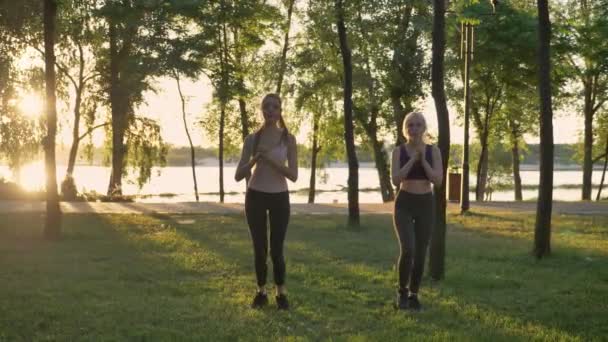 Duas mulheres bonitas jovens agachando-se no parque, perda de peso, modelos de fitness exercitando-se, belo fundo vista — Vídeo de Stock