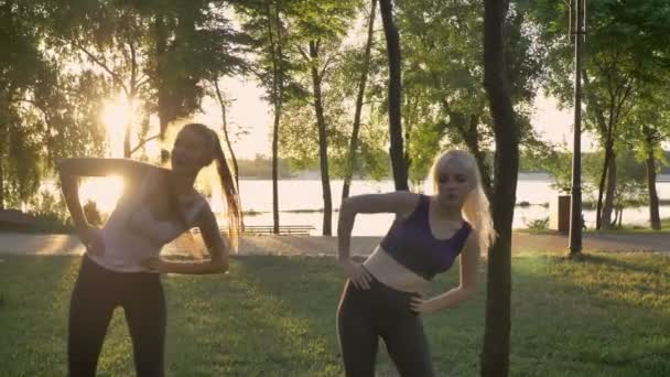 Duas jovens mulheres fazendo aeróbica no parque, perda de peso, modelos de fitness exercício, lente de sinalização e bela vista de fundo — Vídeo de Stock