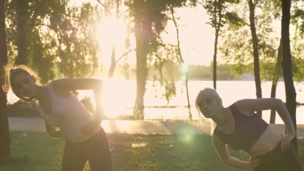 Deux jeunes femmes faisant de l'exercice dans le parc, perte de poids, modèles de remise en forme, fusée éclairante et beau fond de vue — Video