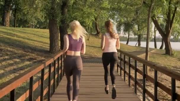 Two young beautiful female runners jogging in park across bridge, weight loss, fitness models running, view from back — Stock Video