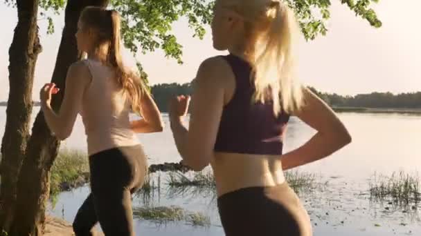 Dua pelari wanita cantik muda jogging di taman dekat sungai, model kebugaran berjalan, latar belakang alam yang indah — Stok Video