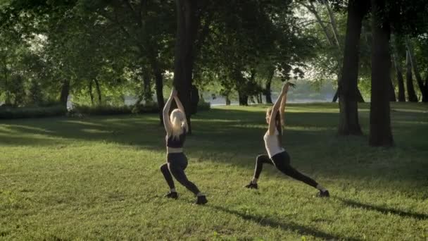 Two young womans doing yoga in park near river during morning, lens flare and beautiful view background — Stock Video