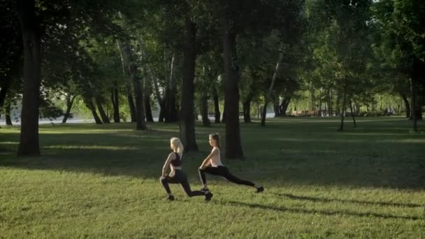 Dos mujeres jóvenes que se extienden en el parque cerca del río durante la mañana, modelos de fitness haciendo ejercicio, hermoso fondo de vista — Vídeos de Stock