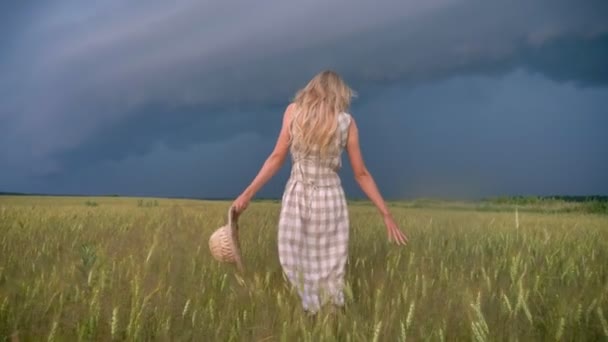 Σιλουέτα του εμπνευσμένο όμορφη κοπέλα είναι το περπάτημα στο πεδίο n βροχερή μέρα, έννοια ελευθερία — Αρχείο Βίντεο