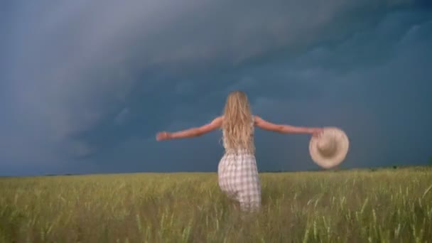 Silhuetten av unga vackra inspirerad flicka kör i fältet i regnig dag, frihet koncept — Stockvideo