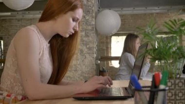 Genç zencefil işkadını ofis, iş kavramı, iletişim kavramı, yan görünüm içinde laptop ile çalışma