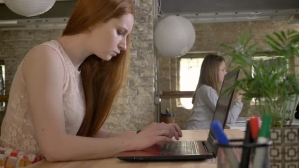 Mladý zázvor podnikatelka pracuje s notebookem v úřadu práce koncept, komunikační koncept, boční pohled — Stock video