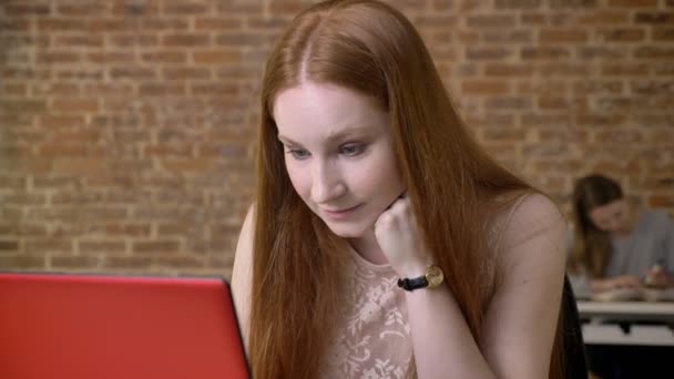 Молодая симпатичная девушка-имбирь работает с ноутбуком в офисе, концепция работы, концепция бизнеса, концепция общения — стоковое видео