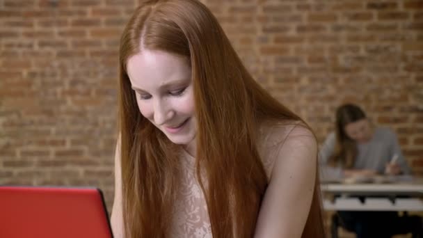 Молодая симпатичная девушка-имбирь работает с ноутбуком в офисе, счастлива от хороших новостей, поднимает руки, концепция работы, концепция бизнеса, концепция общения — стоковое видео