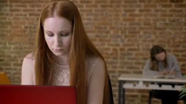 Молодая имбирная женщина работает с ноутбуком в офисе, концепция работы, смотрит на камеру, улыбается, концепция общения — стоковое видео