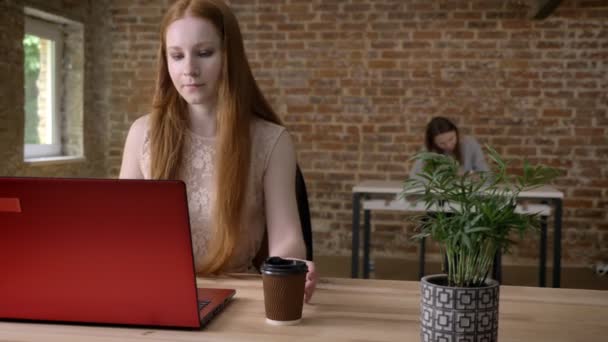 Joven mujer de negocios jengibre está trabajando con el ordenador portátil en la oficina, beber café, concepto de trabajo, concepto de comunicación — Vídeos de Stock