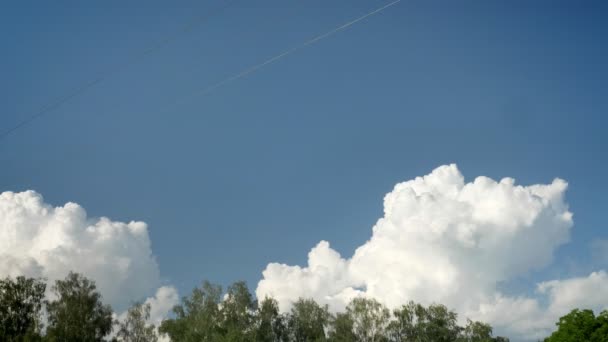 Blå himmel med moln ovanför skogen — Stockvideo