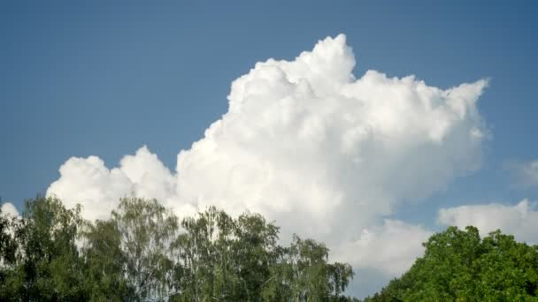 Голубое небо с большими облаками над лесом, время истекло — стоковое видео