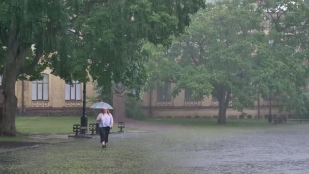 Gorda pelirroja está corriendo en el parque bajo la lluvia, sosteniendo el paraguas — Vídeos de Stock