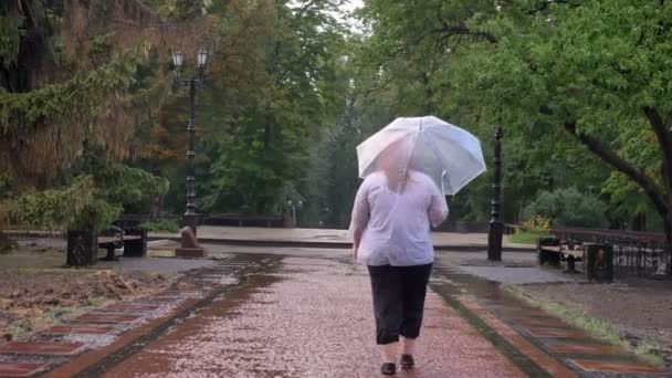 Silueta de la chica pelirroja gorda está caminando en el parque bajo la lluvia, sosteniendo el paraguas, concepto del tiempo, vista trasera — Vídeos de Stock