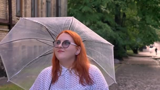 Dickes Ingwermädchen mit Brille läuft bei regnerischem Wetter im Park, hält Regenschirm in der Hand, denkt nach — Stockvideo