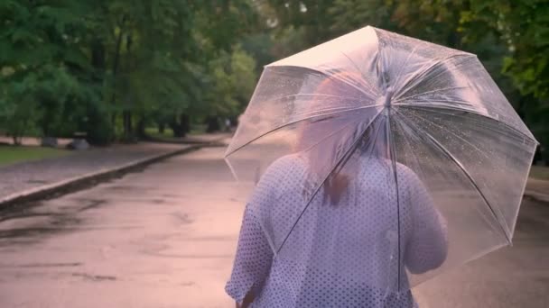 Silueta de la chica pelirroja gorda está caminando por el camino en el parque bajo la lluvia, sosteniendo el paraguas, vista trasera — Vídeo de stock
