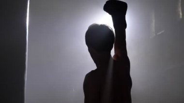 Onun elini kaldırma kazanan boksör zafer hakkında şampiyonu tezahürat maç, her yerde duman