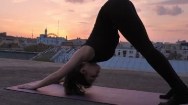 Yogi kız çatıda aşağı doğru köpek yaz gün batımı, sağlıklı bir yaşam tarzı üzerinde duruyor, kavram, meditasyon konsept sakin ol