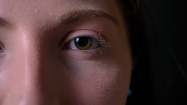 Images proches de jeune belle femme oeil vert, partie du visage isolée sur fond noir, portrait de beauté 