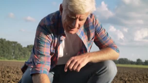 Παλιό γεωργός στο πουκάμισο κάθεται και παίρνοντας χώμα με το ένα χέρι, όρθιος στο πεδίο, όμορφη φύση κατά τη διάρκεια του καλοκαιριού φόντο — Αρχείο Βίντεο