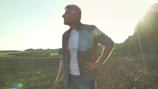 Ευτυχισμένος παλιά αγρότης στο πουκάμισο στέκεται και κοιτάζοντας το χωράφι του με ευχάριστη έκφραση, υπέροχη θέα της φύσης κατά το ηλιοβασίλεμα — Αρχείο Βίντεο