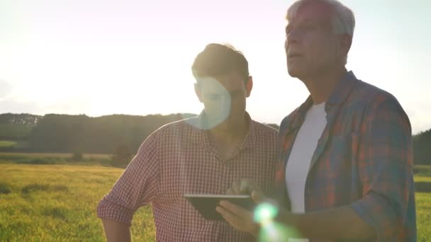 Старий батько навчає свого сина про сільське господарство і тримає планшет, стоїть на пшеничному полі, красивий вид під час заходу сонця на задньому плані — стокове відео